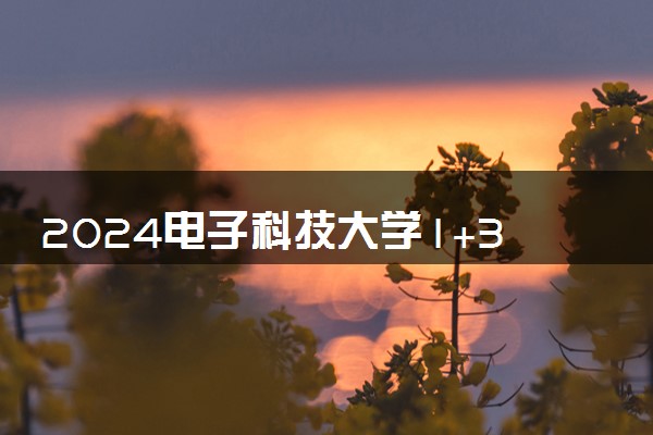 2024电子科技大学1+3项目可靠吗 值得选择吗