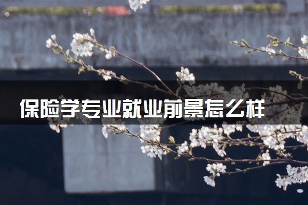 保险学专业就业前景怎么样 就业方向有哪些