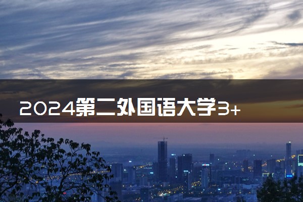 2024第二外国语大学3+1有哪些专业 学什么好