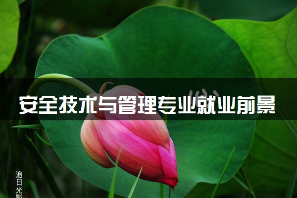 安全技术与管理专业就业前景好不好 就业方向有哪些