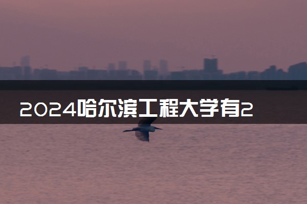 2024哈尔滨工程大学有2加3项目吗 是官方办学吗