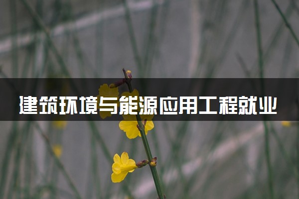 建筑环境与能源应用工程就业前景如何 主要做什么工作的