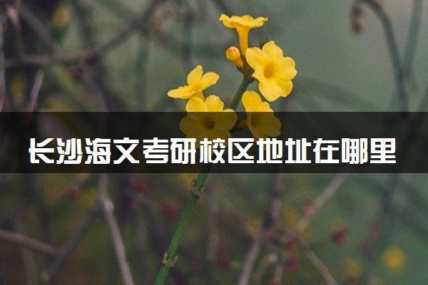长沙海文考研校区地址在哪里