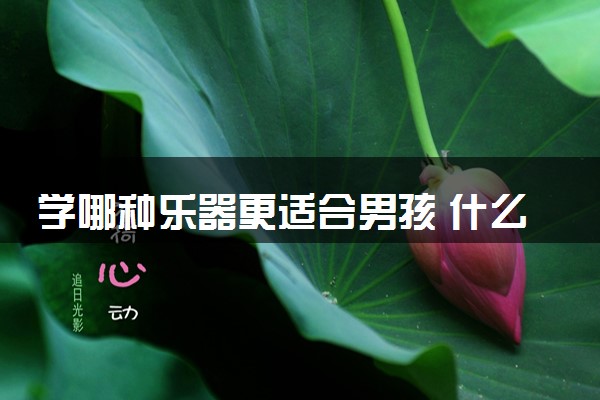 学哪种乐器更适合男孩 什么乐器好学