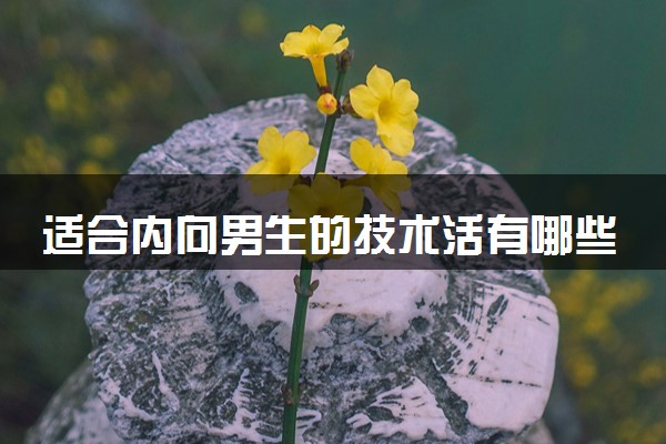 适合内向男生的技术活有哪些 什么技术吃香