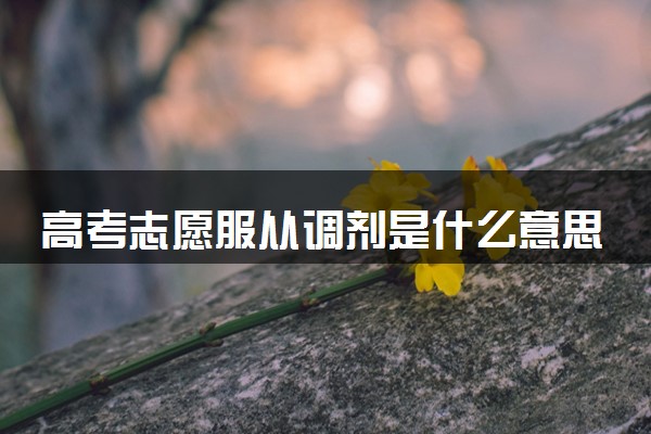 高考志愿服从调剂是什么意思 要选择服从调剂吗