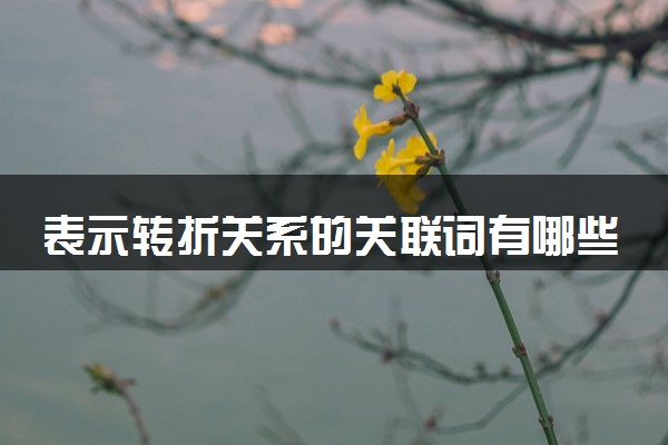 表示转折关系的关联词有哪些 关联词及例句