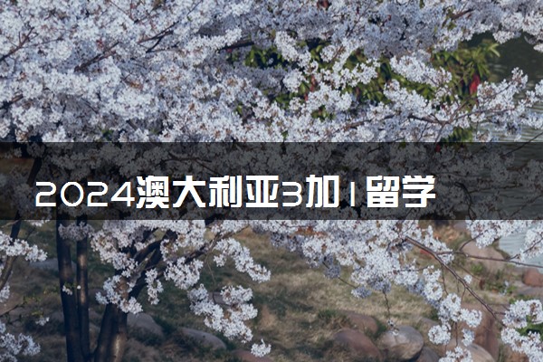 2024澳大利亚3加1留学是什么情况 值得读吗