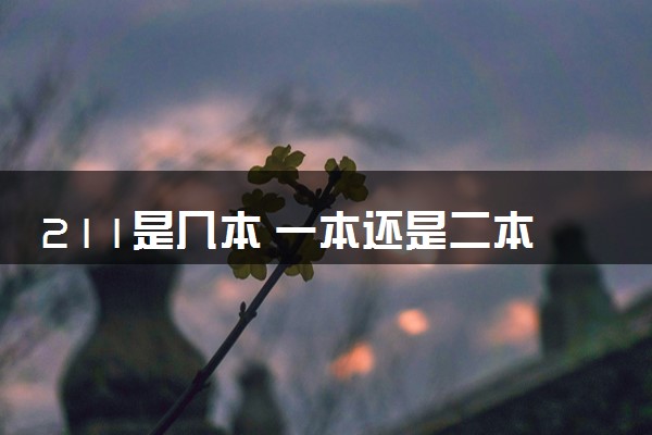 211是几本 一本还是二本