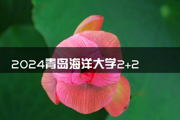 2024青岛海洋大学2+2国外学费多少 大概要花多少钱