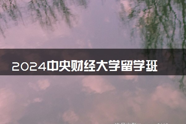 2024中央财经大学留学班多少钱 值得读吗