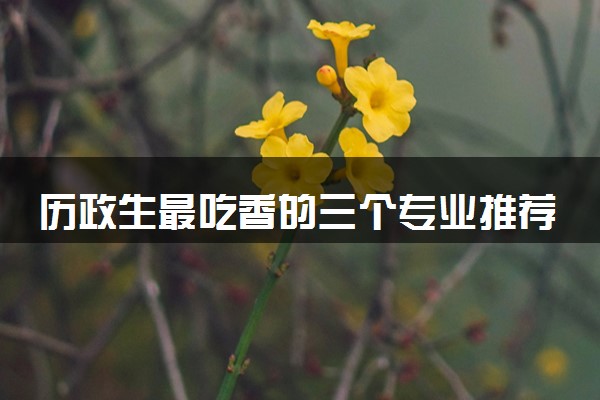 历政生最吃香的三个专业推荐 选择哪些专业比较好