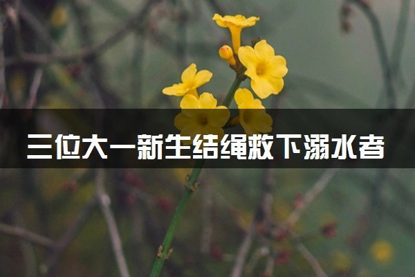 三位大一新生结绳救下溺水者 真的很棒！