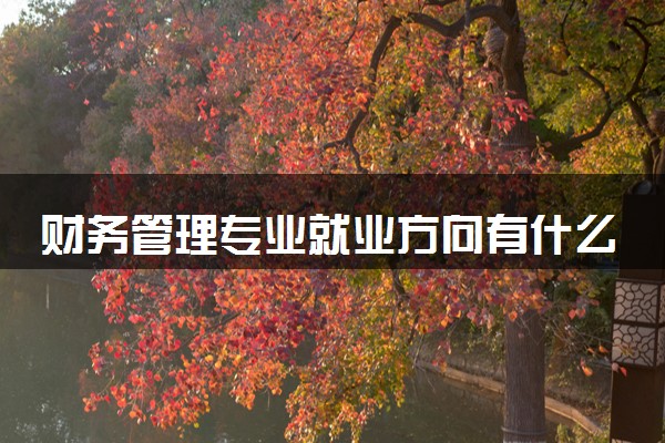 财务管理专业就业方向有什么 好找工作吗