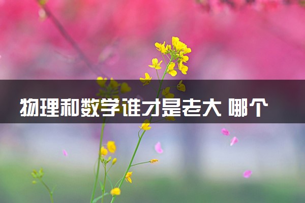 物理和数学谁才是老大 哪个难学