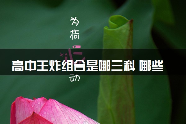 高中王炸组合是哪三科 哪些选科组合最佳