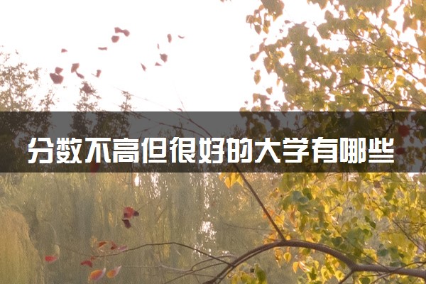 分数不高但很好的大学有哪些 哪所大学受欢迎