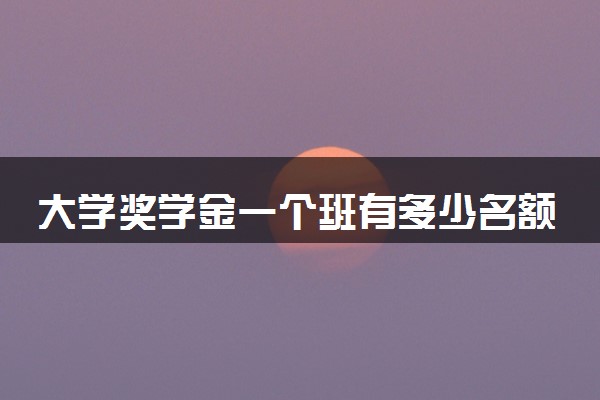 大学奖学金一个班有多少名额 如何获得奖学金