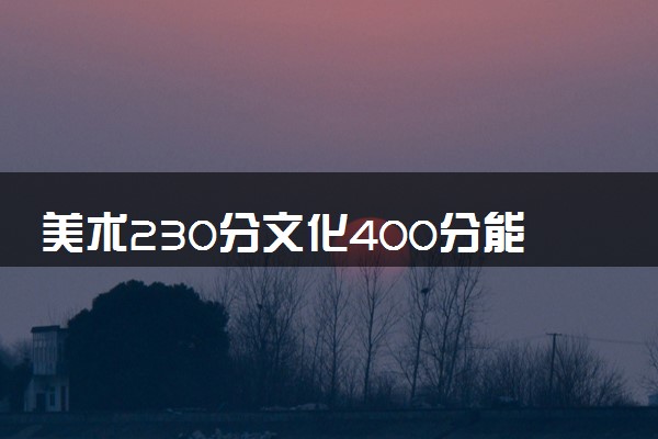 美术230分文化400分能上一本吗 有希望吗