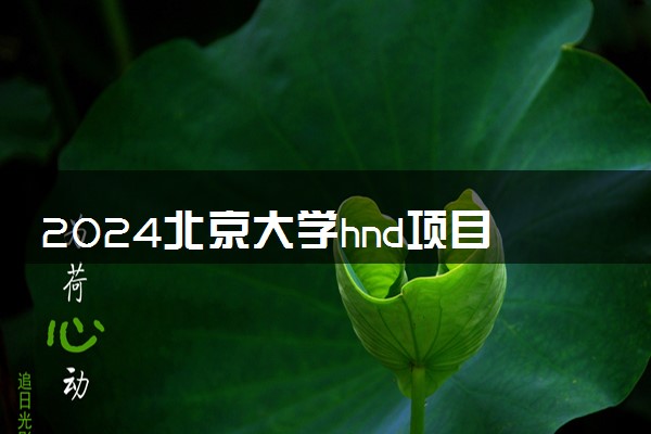 2024北京大学hnd项目怎么样 办学优劣势分析
