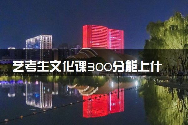 艺考生文化课300分能上什么学校 哪些学校好考