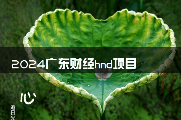 2024广东财经hnd项目如何申请 毕业后能拿什么文凭