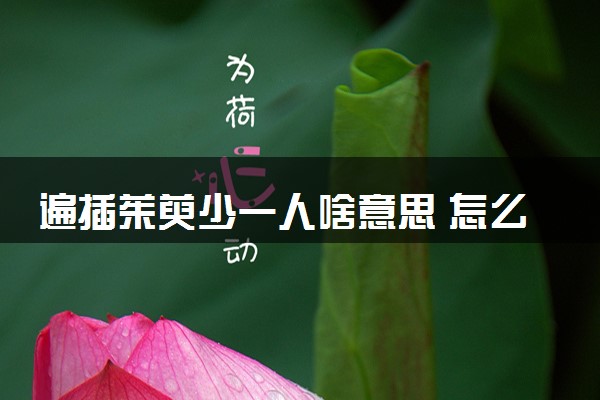 遍插茱萸少一人啥意思 怎么解释