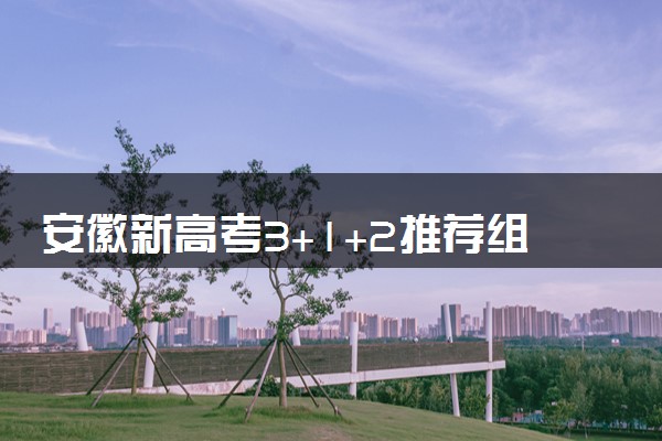 安徽新高考3+1+2推荐组合 什么组合好