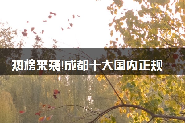 热榜来袭！成都十大国内正规美国留学中介排名榜