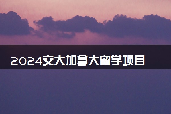 2024交大加拿大留学项目怎么申请 有哪些项目推荐读