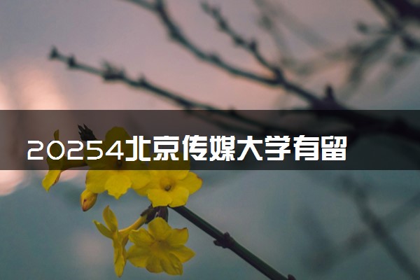 20254北京传媒大学有留学项目吗 好不好申请