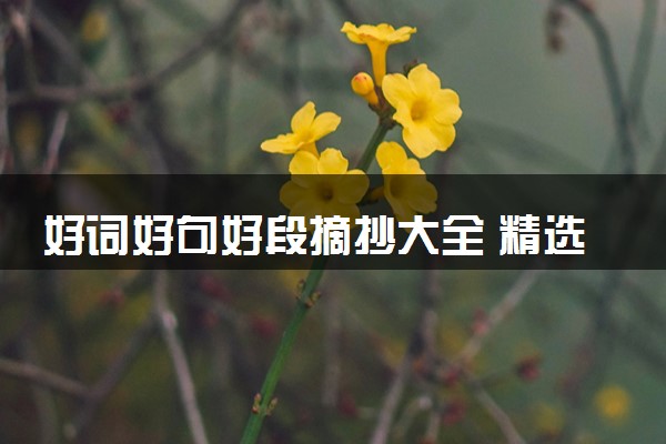 好词好句好段摘抄大全 精选作文素材整理