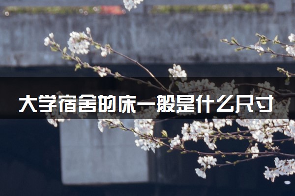 大学宿舍的床一般是什么尺寸 如何选择床位