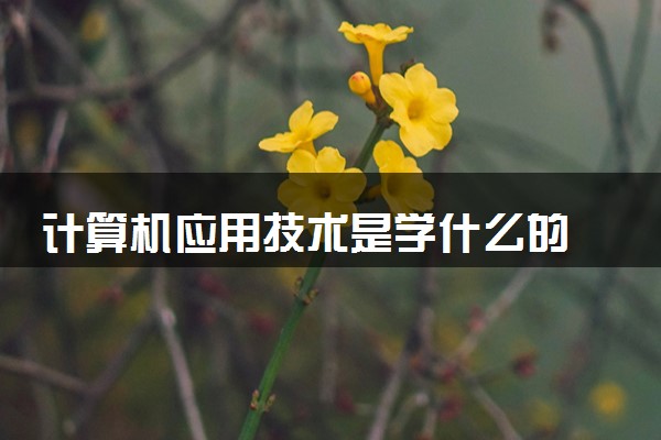 计算机应用技术是学什么的 就业前景怎么样