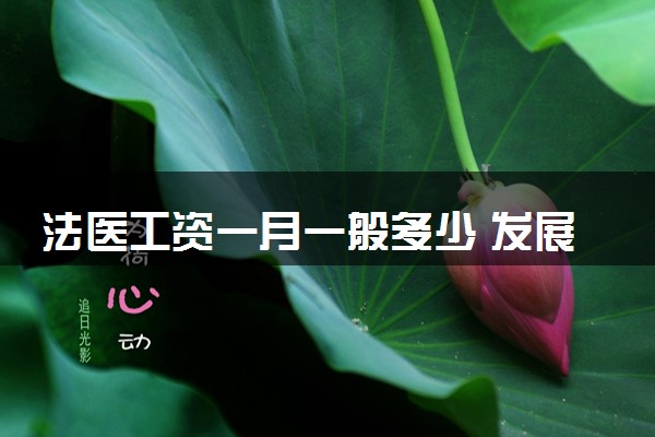 法医工资一月一般多少 发展前景怎么样