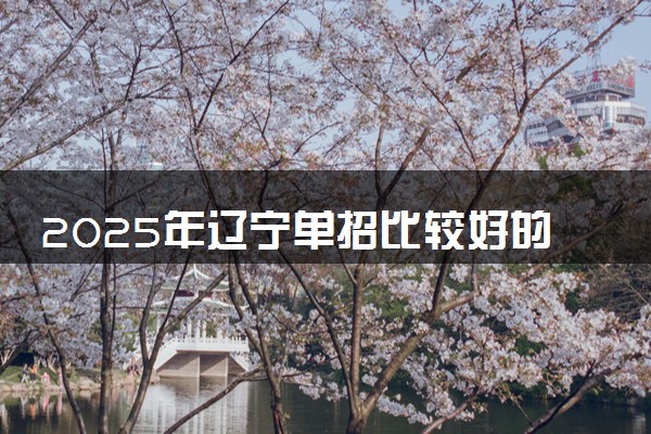 2025年辽宁单招比较好的学校推荐 哪些靠谱