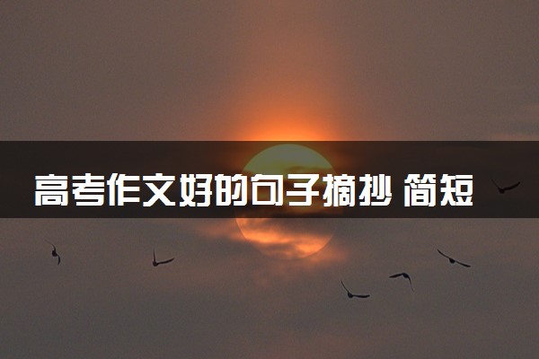高考作文好的句子摘抄 简短的金句