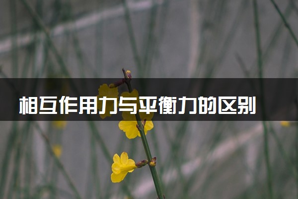 相互作用力与平衡力的区别 有什么不同
