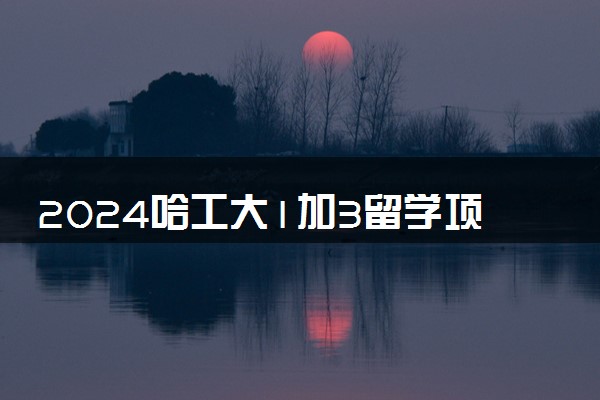 2024哈工大1加3留学项目好吗 项目亮点是什么