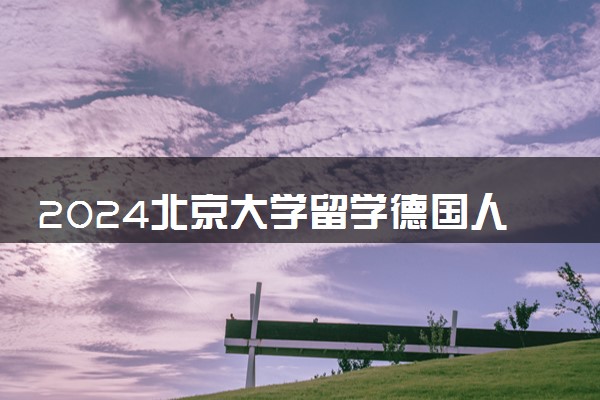 2024北京大学留学德国人多吗 好就业吗
