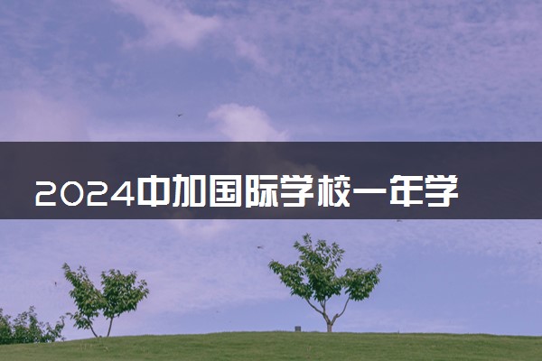 2024中加国际学校一年学费多少 值得上吗