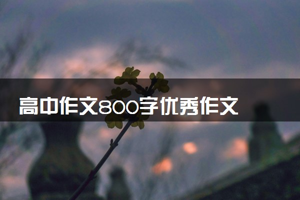高中作文800字优秀作文 精选正能量范文