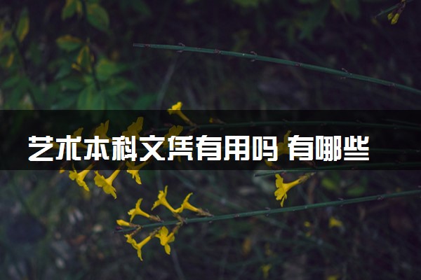 艺术本科文凭有用吗 有哪些出路