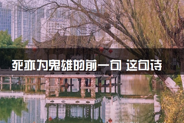 死亦为鬼雄的前一句 这句诗什么意思