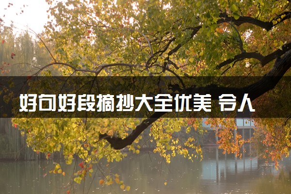 好句好段摘抄大全优美 令人惊艳的作文素材摘抄