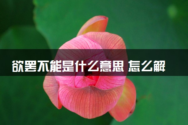 欲罢不能是什么意思 怎么解释