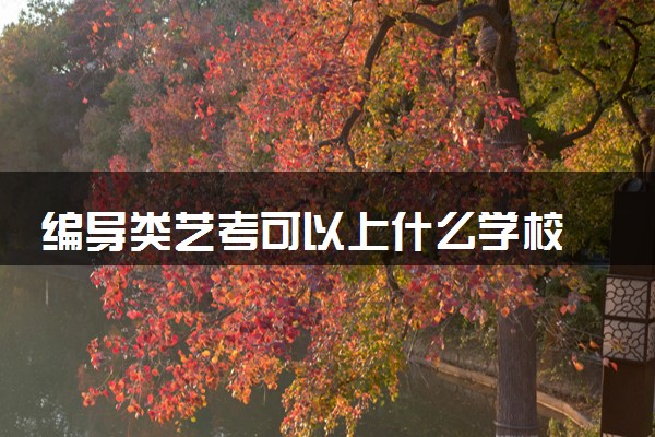 编导类艺考可以上什么学校 哪些院校好