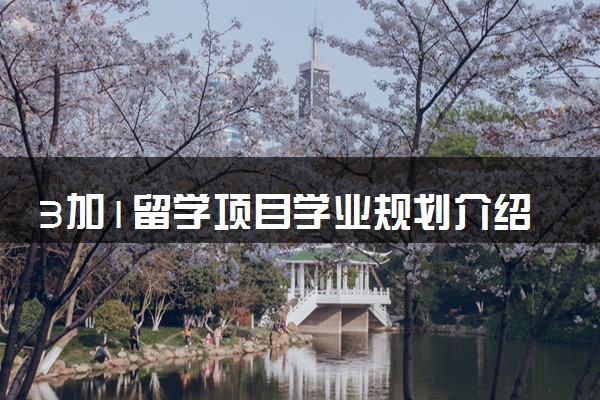 3加1留学项目学业规划介绍 毕业拿到什么学历