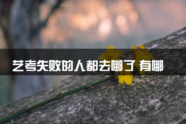 艺考失败的人都去哪了 有哪些出路