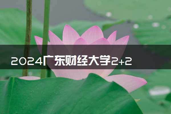 2024广东财经大学2+2的专业有哪些 值得读吗
